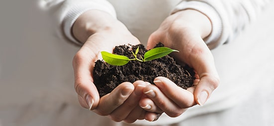 Educação Ambiental