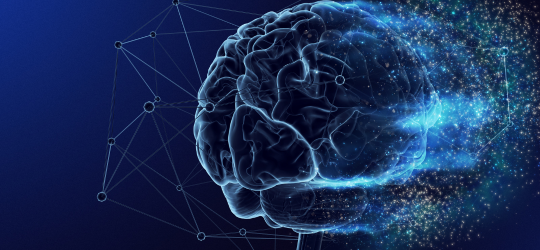 INTRODUÇÃO À NEUROCIÊNCIA EPISTÊMICA -SAÚDE DO CÉREBRO