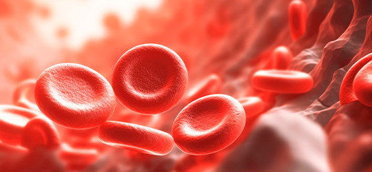 Hematologia e Banco de Sangue