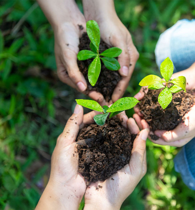Educação Ambiental