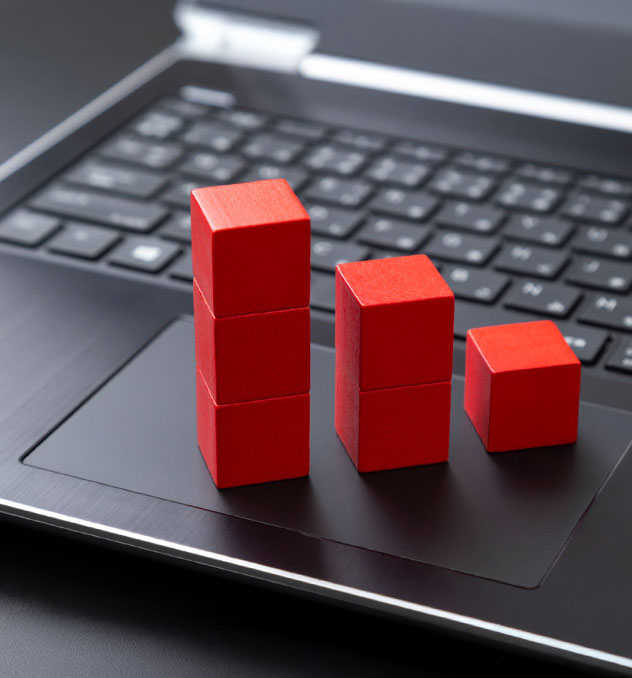 Gestão das Organizações do Terceiro Setor