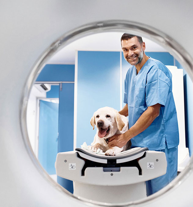 Pós-Graduação em Radiologia Veterinária